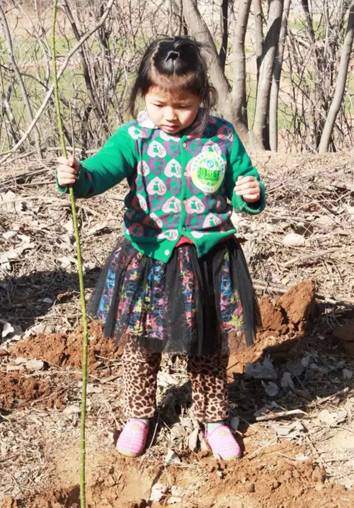 首页| 2003网站太阳集团接待您!